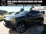 2016 ECO Green Pearl Jeep Cherokee Trailhawk 4x4 #107659829