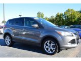 2013 Sterling Gray Metallic Ford Escape SEL 2.0L EcoBoost #107724612