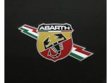 2013 Fiat 500 Abarth Marks and Logos