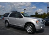 2011 Ingot Silver Metallic Ford Expedition XLT #107761872