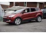 2016 Sunset Metallic Ford Escape SE 4WD #107881367