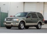 2006 Ford Expedition Estate Green Metallic