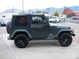 Shale Green Metallic Jeep Wrangler in 2004