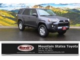 2015 Magnetic Gray Metallic Toyota 4Runner SR5 4x4 #108083345