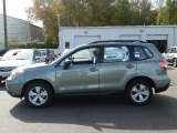 Jasmine Green Metallic Subaru Forester in 2016