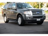 2011 Sterling Grey Metallic Ford Expedition XLT #108189915