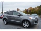 2013 Sterling Gray Metallic Ford Escape SEL 2.0L EcoBoost #108205122
