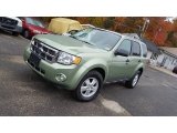 2008 Ford Escape XLT V6 4WD