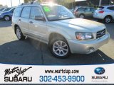 2005 Platinum Silver Metallic Subaru Forester 2.5 XS #108315938