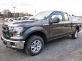 Magnetic Ford F150 in 2016