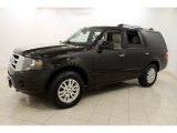 2013 Ford Expedition Limited 4x4 Front 3/4 View