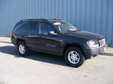 2004 Brillant Black Crystal Pearl Jeep Grand Cherokee Laredo 4x4 #1085865