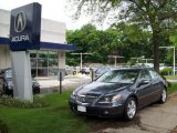 2006 Carbon Gray Pearl Acura RL 3.5 AWD Sedan #10909629