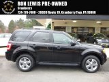 2011 Ford Escape XLT V6 4WD