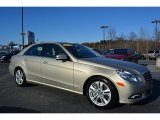 Pearl Beige Metallic Mercedes-Benz E in 2010