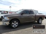 2010 Light Graystone Pearl Dodge Ram 1500 SLT Quad Cab #109503825