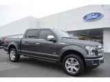 2016 Magnetic Ford F150 Platinum SuperCrew 4x4 #109559284