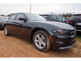2016 Dodge Charger SE Data, Info and Specs