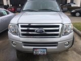 2010 Ingot Silver Metallic Ford Expedition XLT #109582848