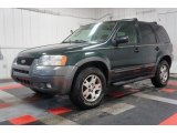 2004 Ford Escape XLT V6 4WD Front 3/4 View