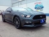2016 Magnetic Metallic Ford Mustang EcoBoost Coupe #109665392