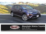 Black Currant Metallic Toyota RAV4 in 2016