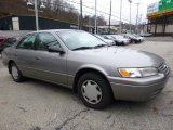 Antique Sage Pearl Toyota Camry in 1999