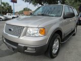 2005 Ford Expedition XLT Data, Info and Specs