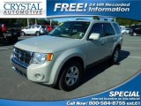 2009 Brilliant Silver Metallic Ford Escape Limited V6 #109834779