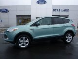 2013 Frosted Glass Metallic Ford Escape SEL 1.6L EcoBoost 4WD #109872786