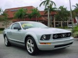 2006 Satin Silver Metallic Ford Mustang V6 Premium Coupe #1093521