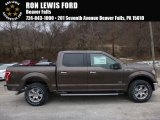 2016 Caribou Ford F150 XLT SuperCrew 4x4 #109946201