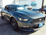 2016 Magnetic Metallic Ford Mustang EcoBoost Coupe #110057010