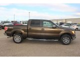 2009 Stone Green Metallic Ford F150 Lariat SuperCrew 4x4 #110115817