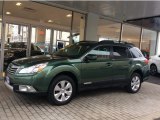 2012 Cypress Green Pearl Subaru Outback 2.5i Limited #110115801