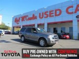 2011 Sterling Grey Metallic Ford Expedition XLT #110193593