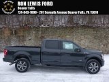 2016 Lithium Gray Ford F150 XLT SuperCrew 4x4 #110315881