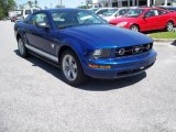 2009 Vista Blue Metallic Ford Mustang V6 Premium Coupe #11015591
