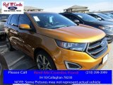 2016 Electric Spice Ford Edge Sport AWD #110396541
