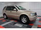 2001 Mercedes-Benz ML 320 4Matic Front 3/4 View