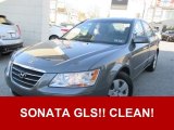 2010 Hyundai Sonata GLS