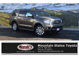 Pyrite Mica Toyota Sequoia in 2016