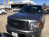 Sterling Grey Ford F150 in 2014