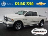 2010 Cool Vanilla Dodge Ram 1500 Big Horn Crew Cab 4x4 #110697868