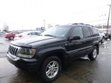 Brillant Black Crystal Pearl Jeep Grand Cherokee in 2004