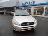 2007 Savannah Metallic Toyota RAV4 4WD #110754534