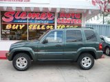 2002 Shale Green Metallic Jeep Liberty Limited 4x4 #11050551