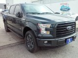 2016 Lithium Gray Ford F150 XLT SuperCrew 4x4 #110839110