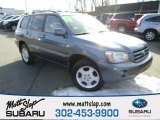 2004 Bluestone Metallic Toyota Highlander Limited V6 4WD #110873112