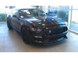 2016 Shadow Black Ford Mustang Shelby GT350 #110911412